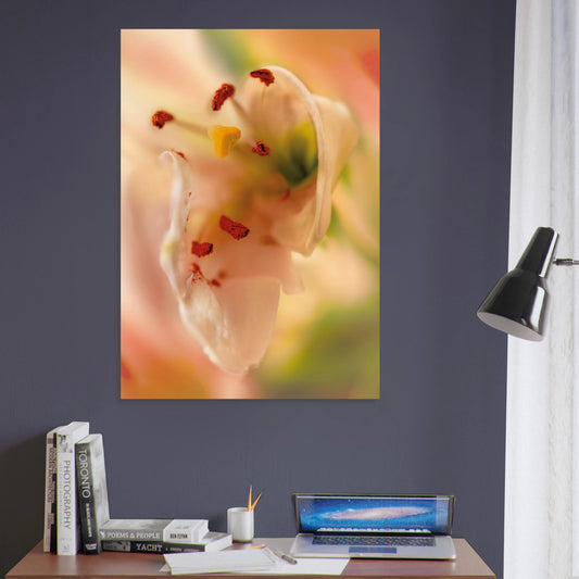 Close-up soft pink lily in dreamy green and rose  botanical artwork print