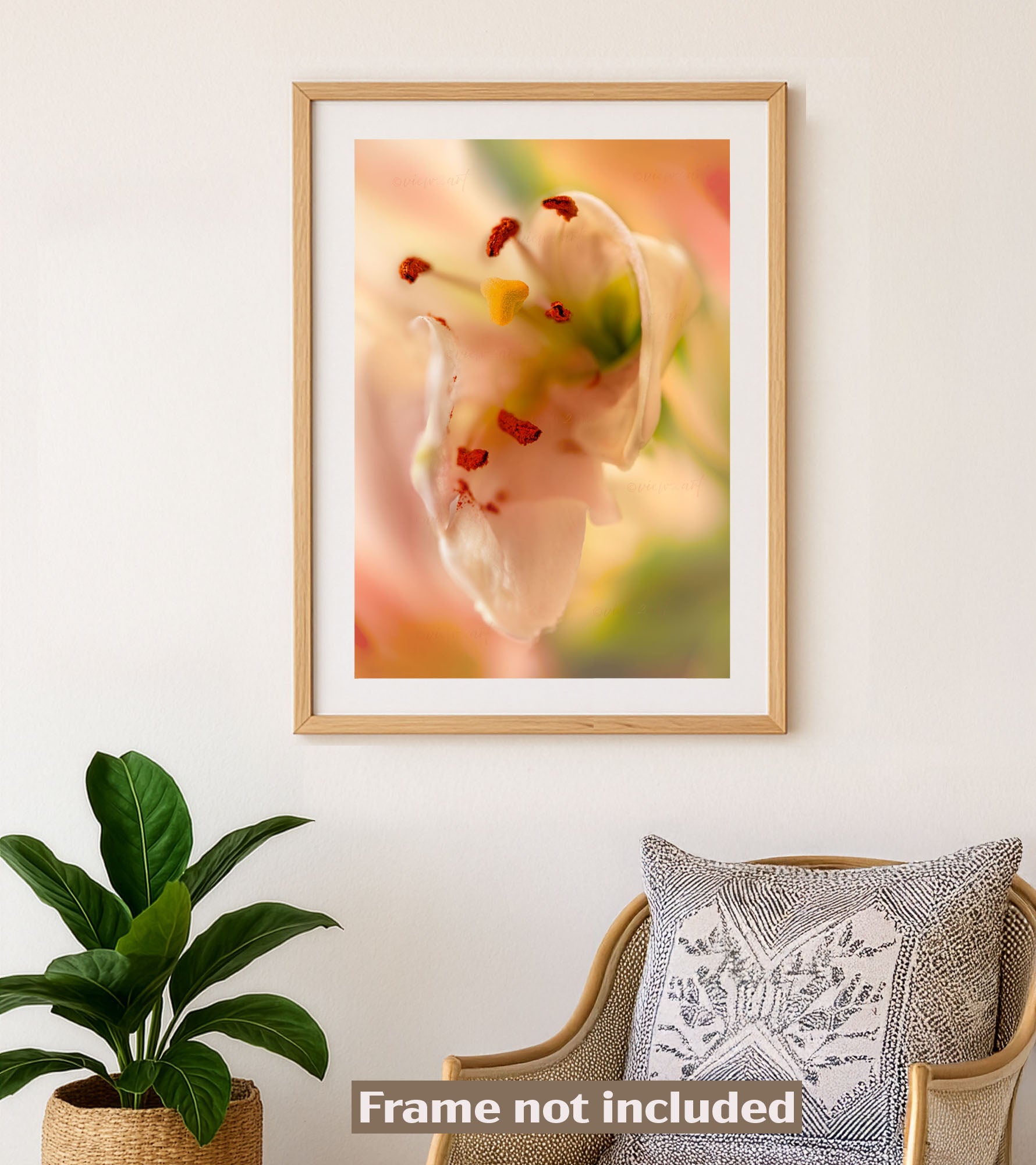 Framed artwork of a floral design on a wall with a plant and chair in the foreground.