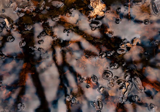 Dreamlike Pond Art Print with Swimmers, Nature wellness mindfull 