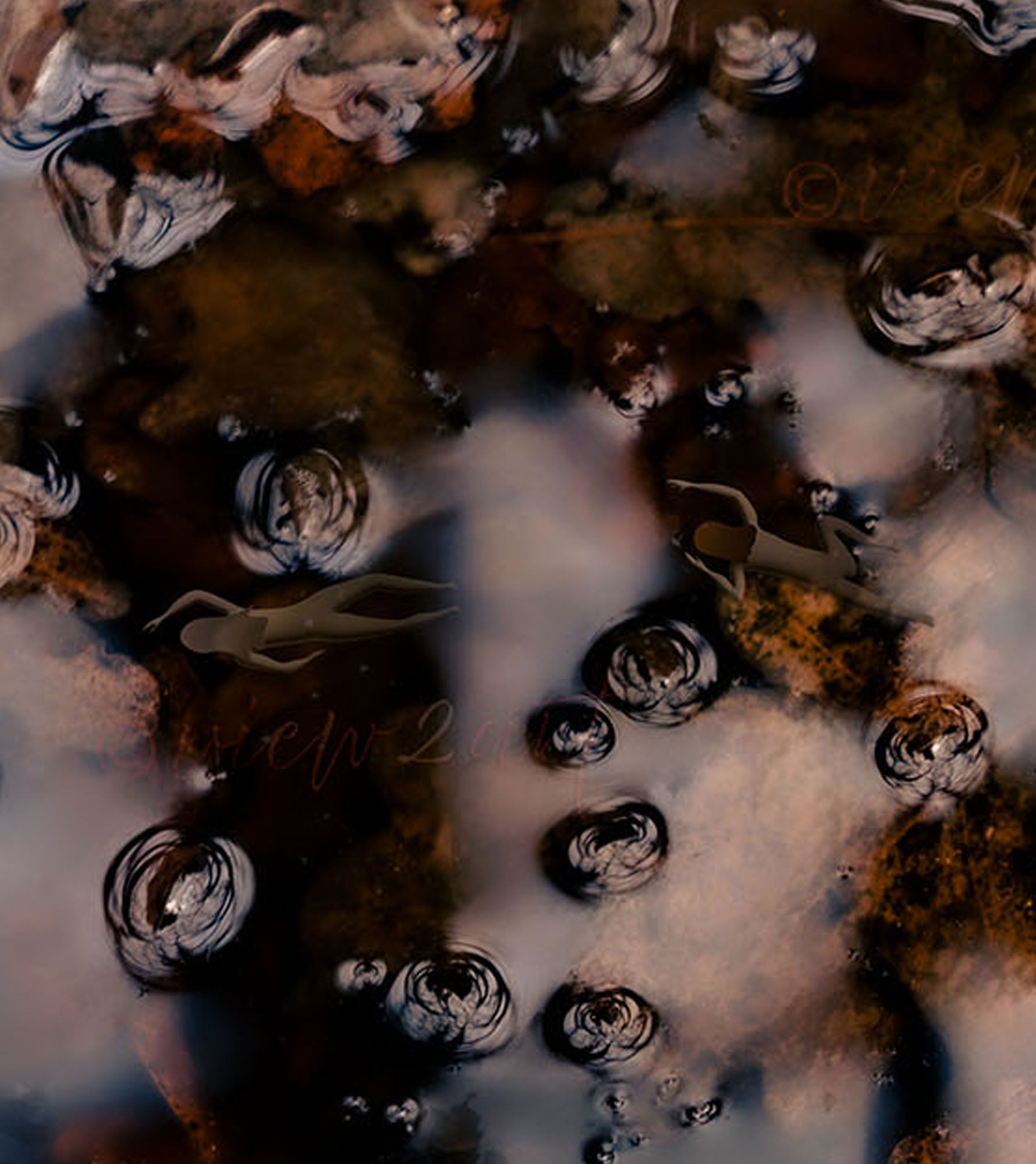 Dreamlike Pond Art Print with Swimmers close-up, Nature wellness mindfull art