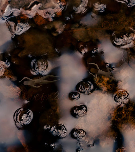 Dreamlike Pond Art Print with Swimmers close-up, Nature wellness mindfull art