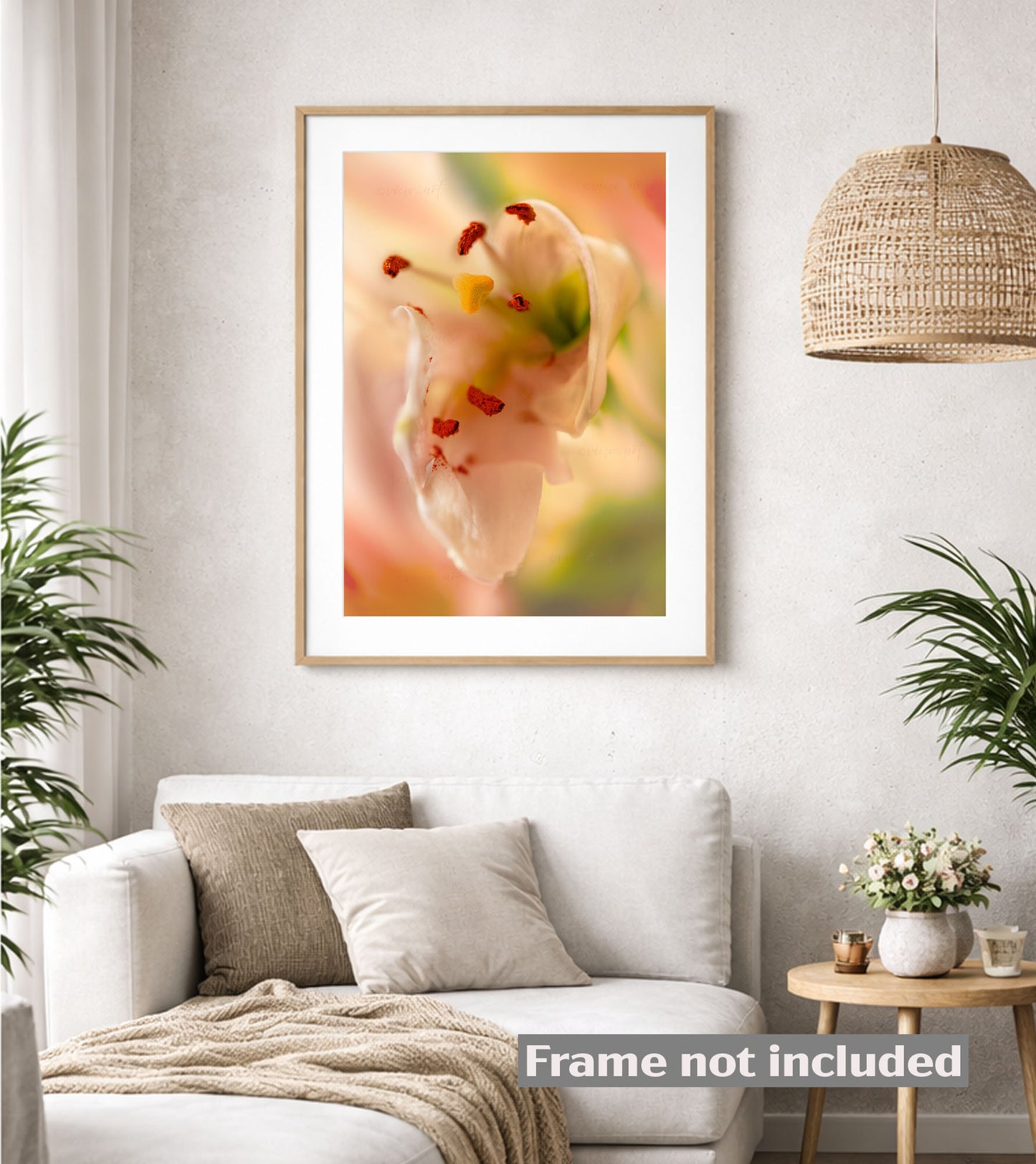 Framed artwork of a flower close-up dreamy harmony above a white sofa in a living room setting.