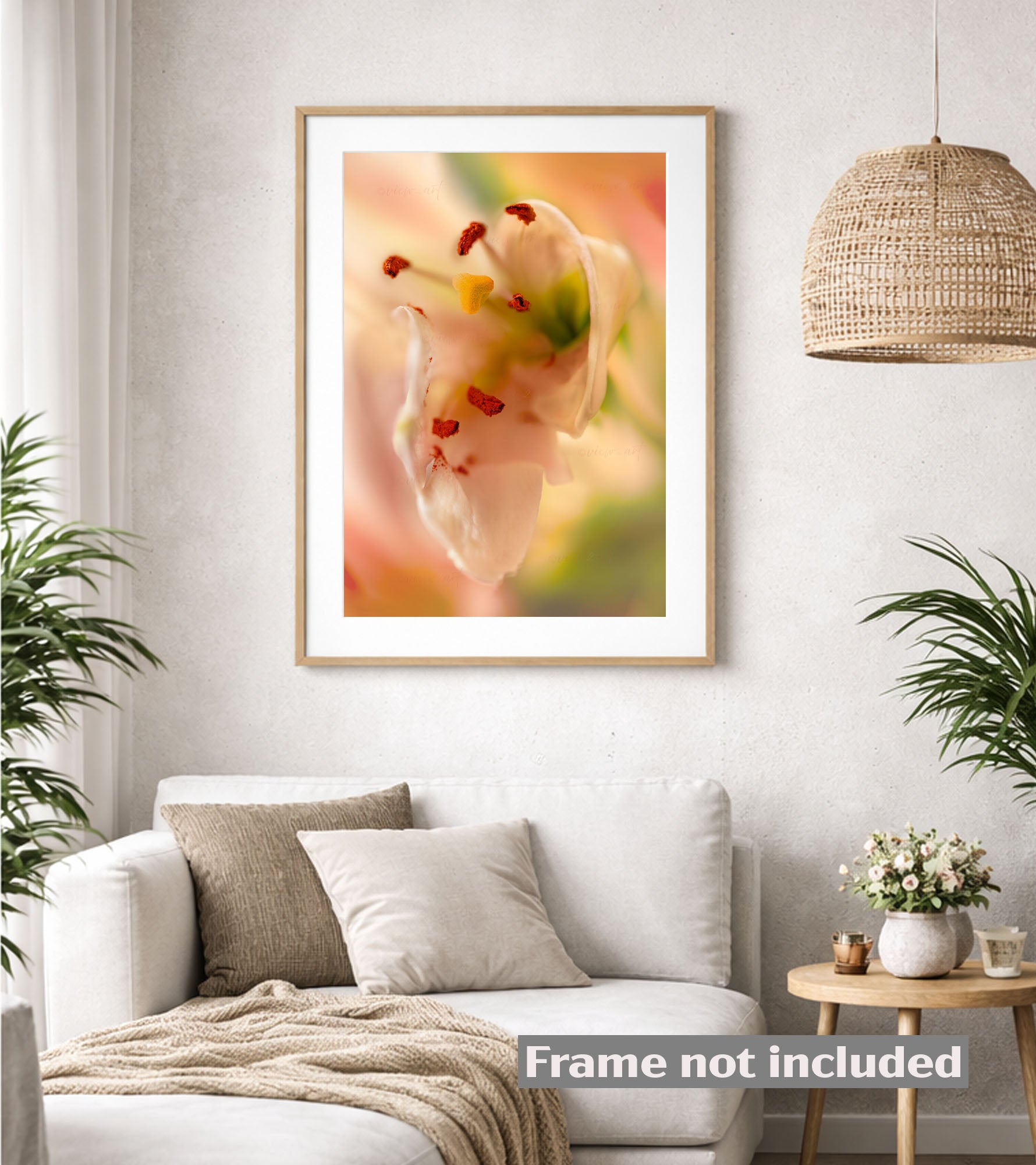 Framed artwork of a flower close-up dreamy harmony above a white sofa in a living room setting.