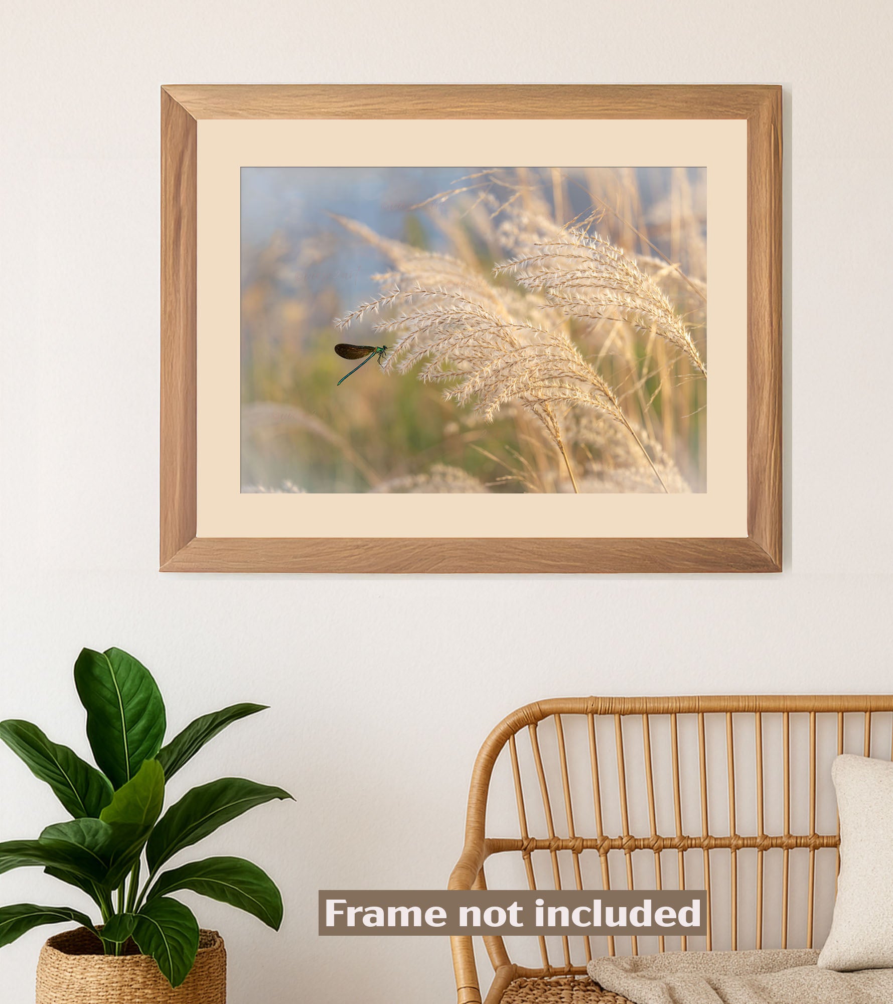 Pampas Flow Dreamlike Dragonfly Art in Soft Botanical Tones bohemian living