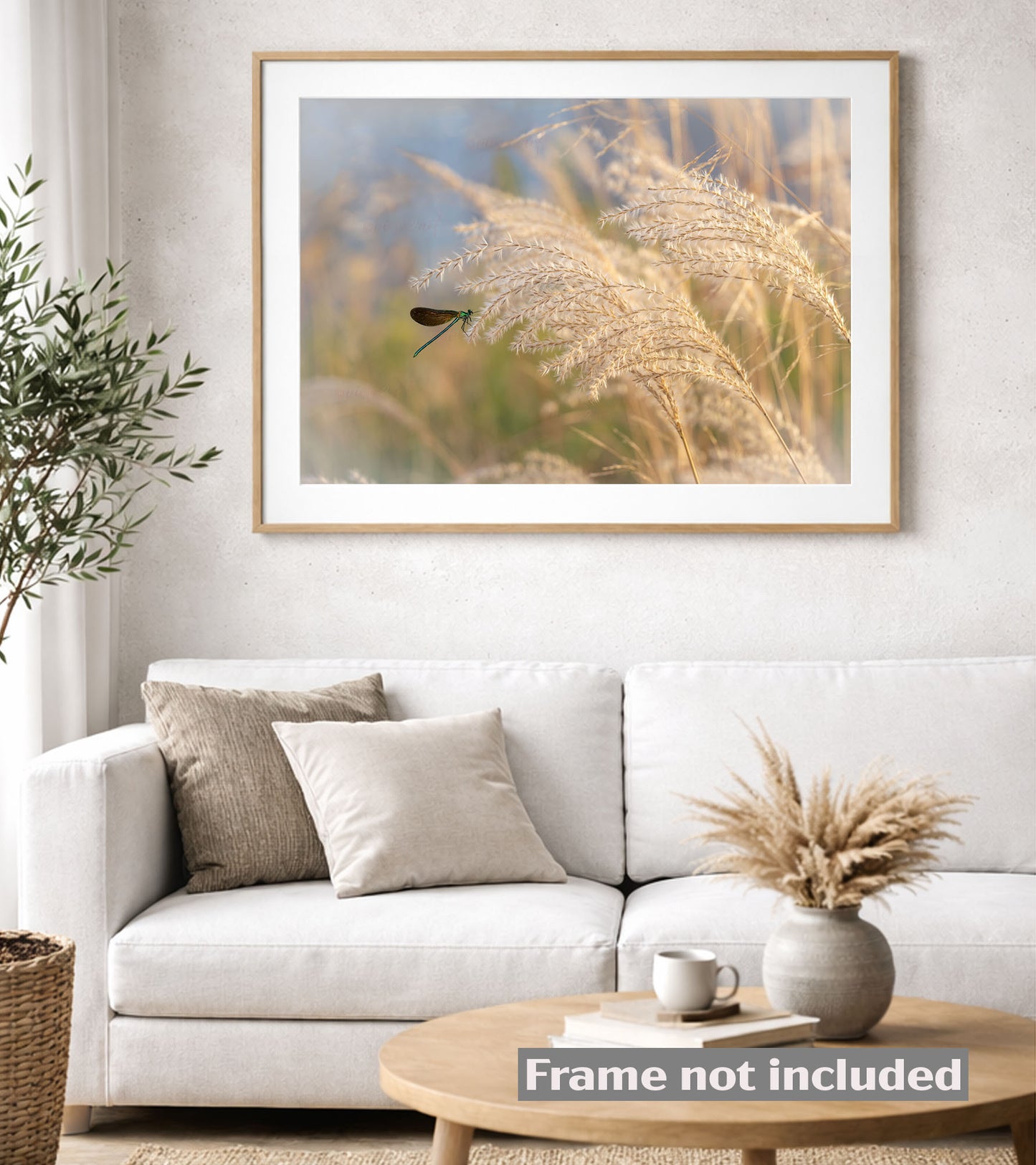 Pampas Flow Dreamlike Dragonfly Art in Soft Botanical Tones in light living room
